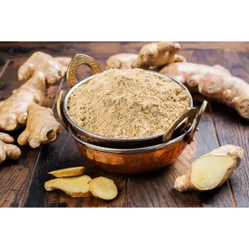 ginger (21)-4725267-43262.webp